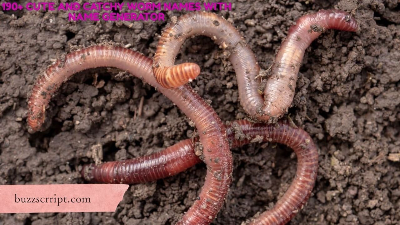 190+ Cute And Catchy Worm Names With Name Generator