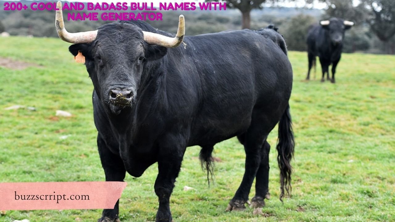200+ Cool And Badass Bull Names With Name Generator