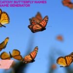 200+ Cute And Catchy Butterfly Names With Name Generator