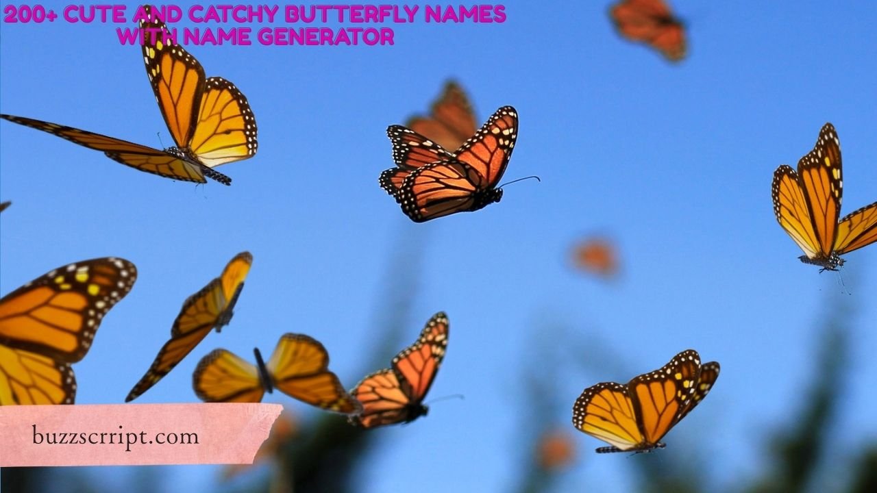 200+ Cute And Catchy Butterfly Names With Name Generator