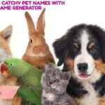 200+ Cute And Catchy Pet Names With Pet Name Generator