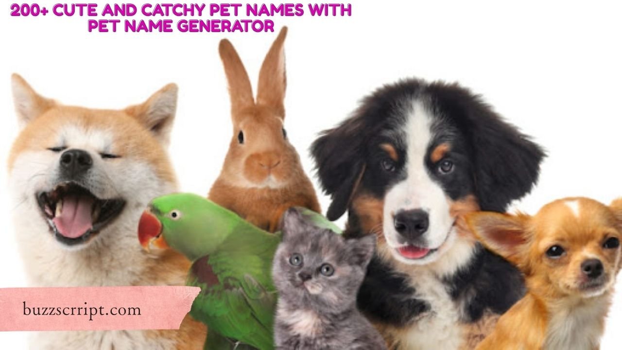 200+ Cute And Catchy Pet Names With Pet Name Generator