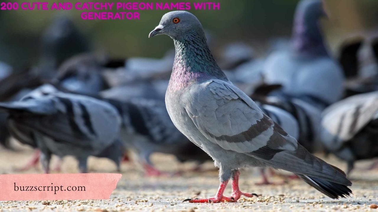 200 Cute And Catchy Pigeon Names With Generator