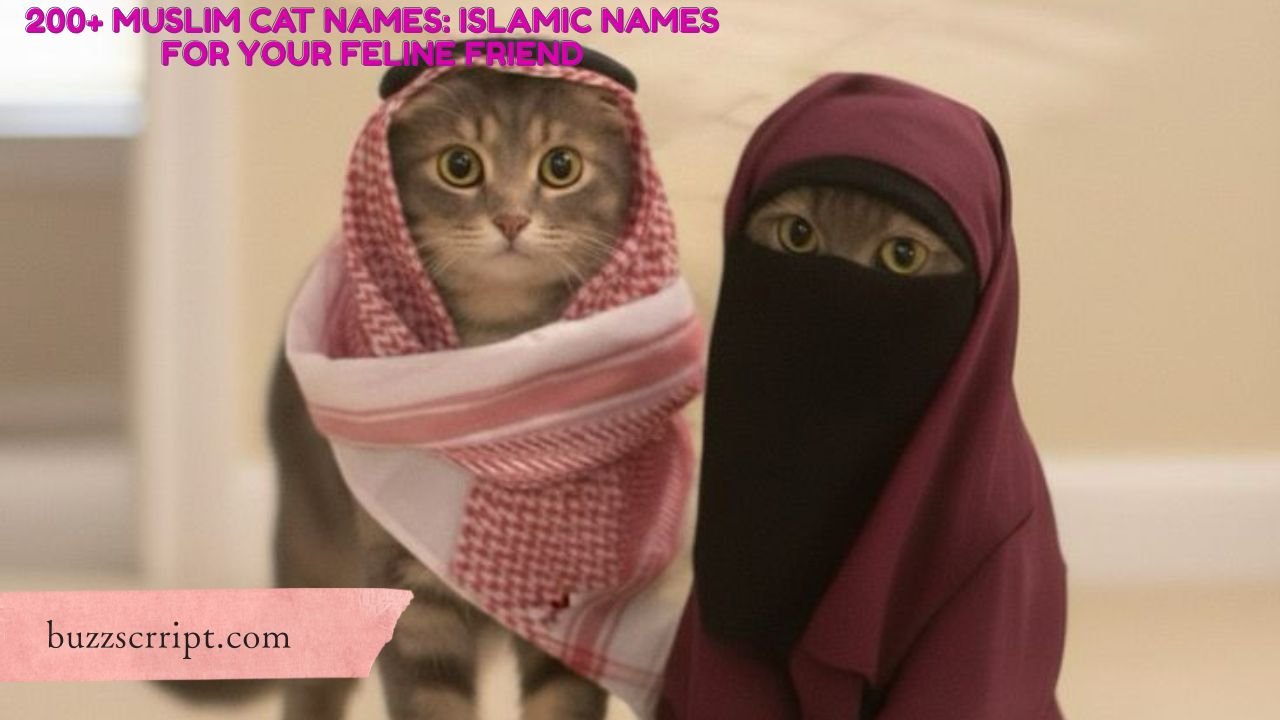 200+ Muslim Cat Names: Islamic Names for Your Feline Friend
