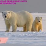 210+ Catchy Polar Bear Names With Name Generator