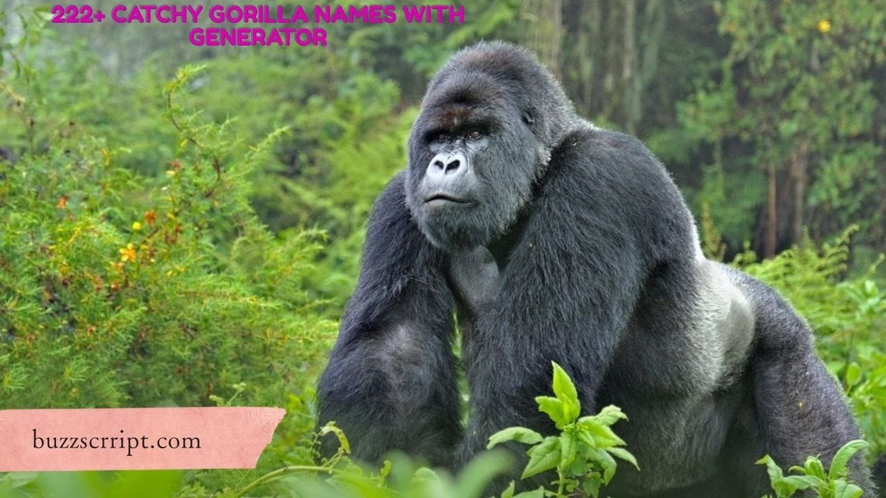 222+ Catchy Gorilla Names With Generator