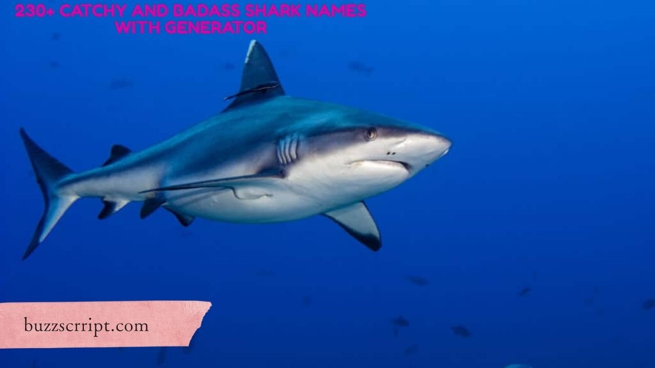 230+ Catchy And Badass Shark Names With Generator