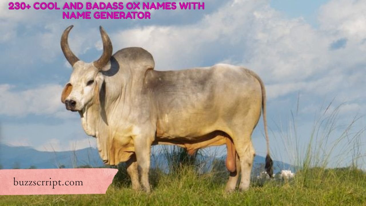 230+ Cool And Badass Ox Names With Name Generator