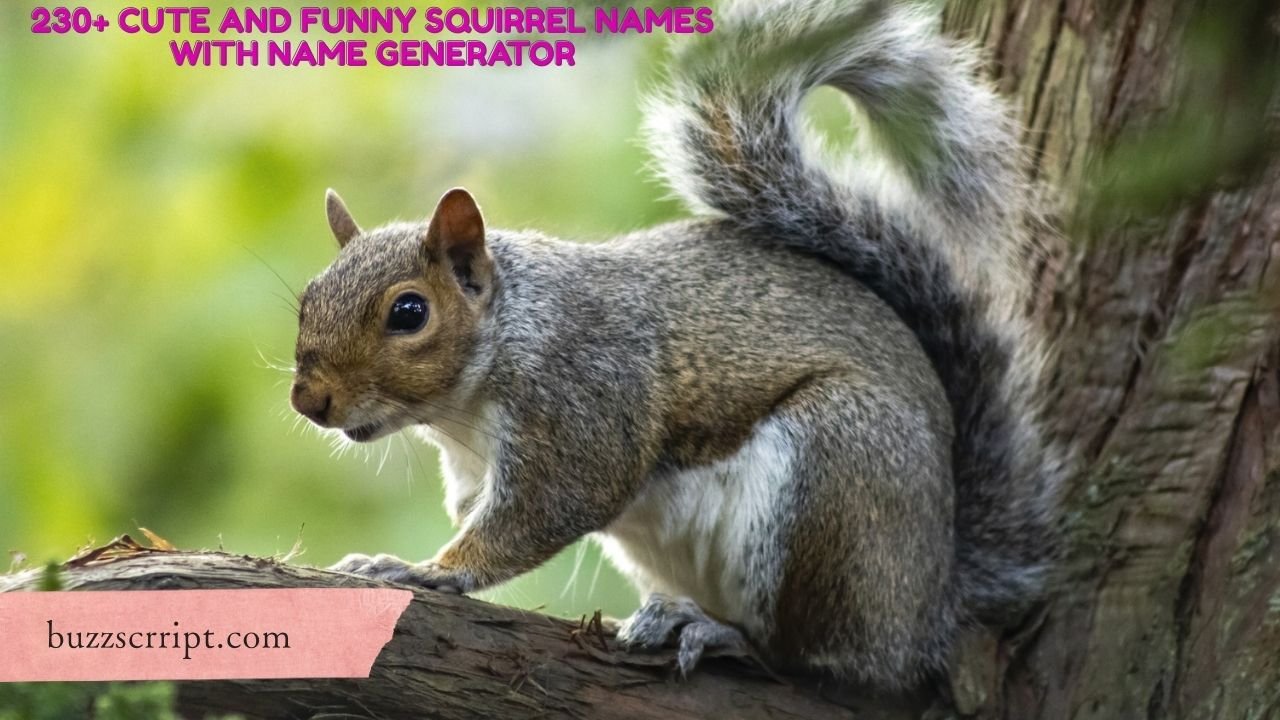 230+ Cute And Funny Squirrel Names With Name Generator