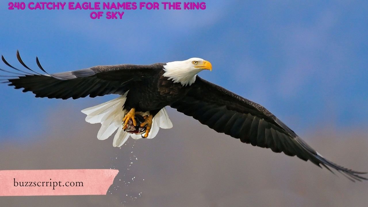 240 Catchy Eagle Names For The King Of Sky