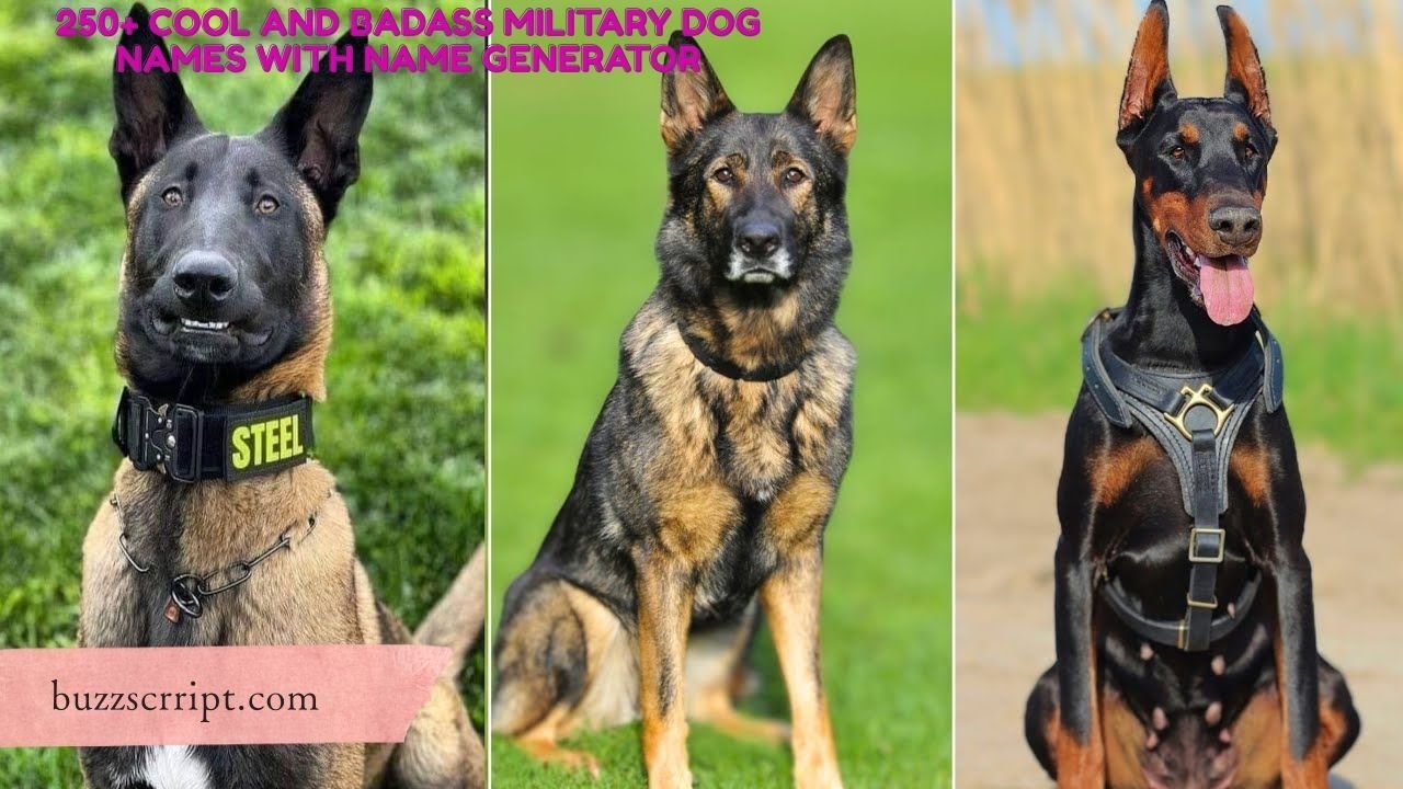 250+ Cool And Badass Military Dog Names With Name Generator