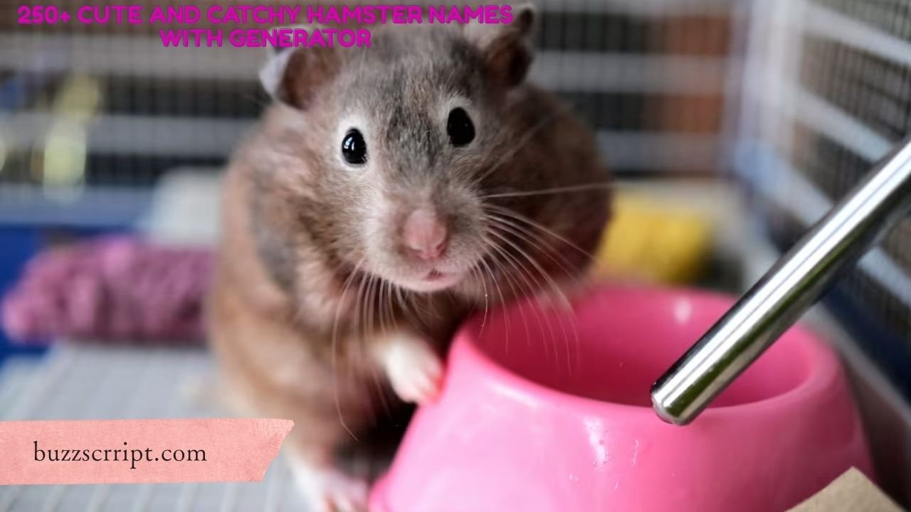 250+ Cute And Catchy Hamster Names With Generator