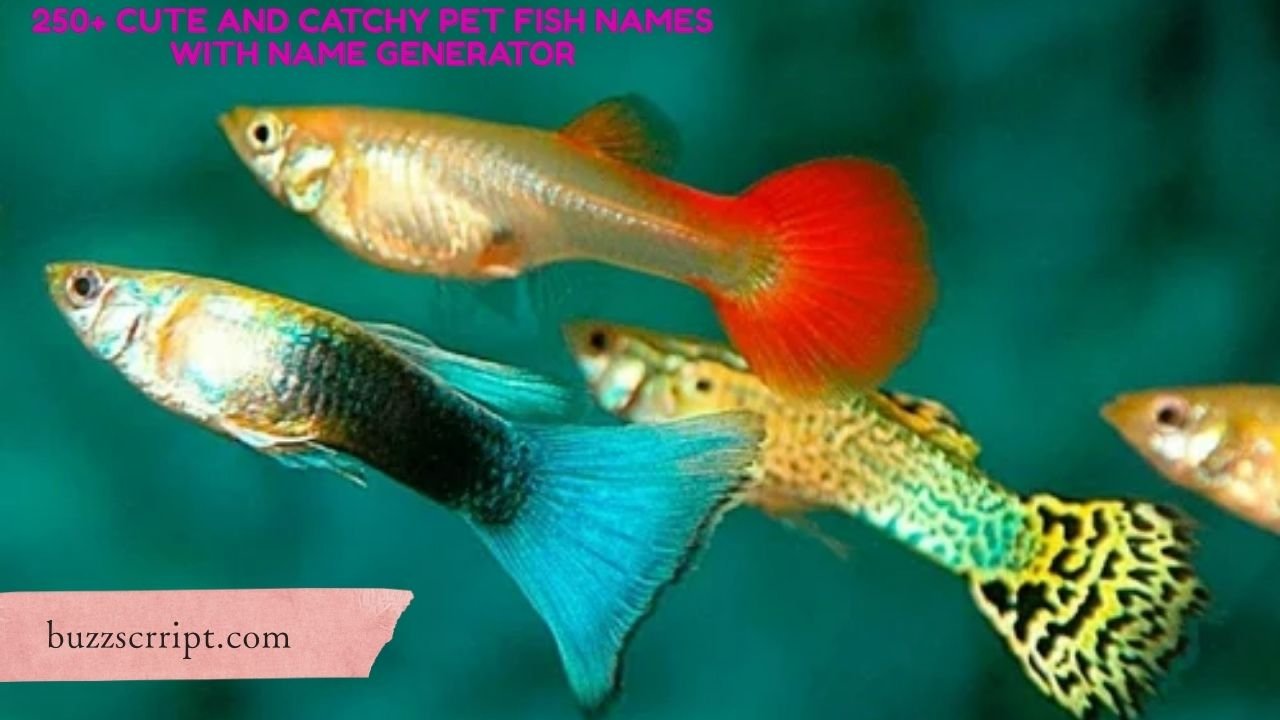 250+ Cute And Catchy Pet Fish Names With Name Generator