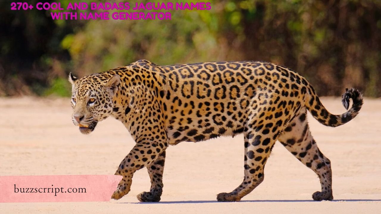 270+ Cool And Badass Jaguar Names With Name Generator