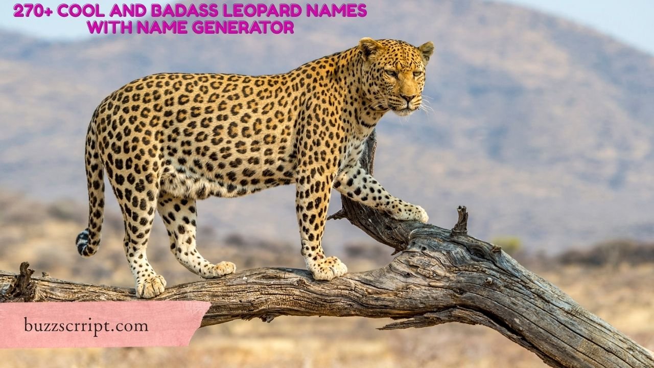 270+ Cool And Badass Leopard Names With Name Generator