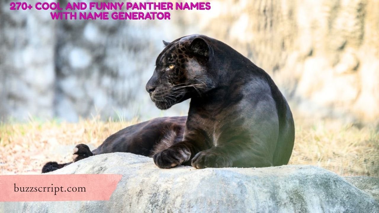 270+ Cool And Funny Panther Names With Name Generator