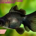 280+ Cute And Catchy Black Fish Names With Name Generator