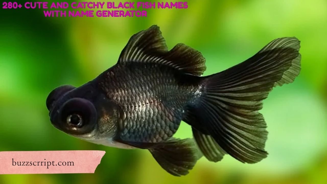 280+ Cute And Catchy Black Fish Names With Name Generator