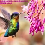 285+ Catchy Hummingbirds Names With Generator