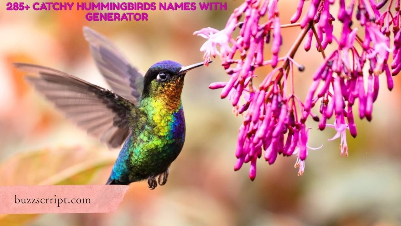 285+ Catchy Hummingbirds Names With Generator