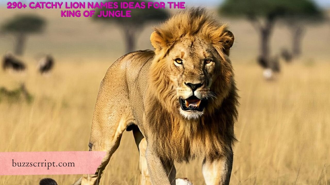 290+ Catchy Lion Names Ideas For The King Of Jungle