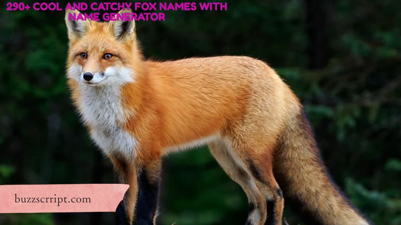 290+ Cool And Catchy Fox Names With Name Generator