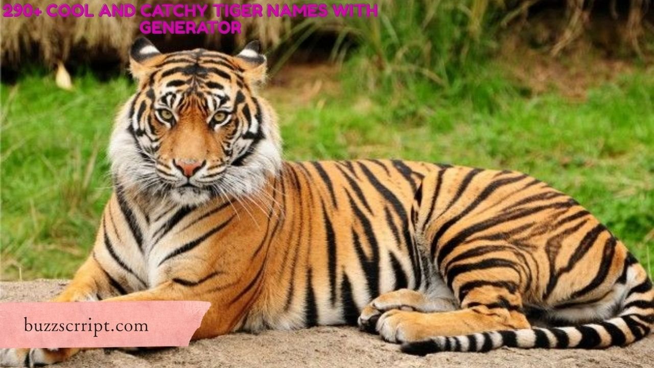 290+ Cool And Catchy Tiger Names With Generator