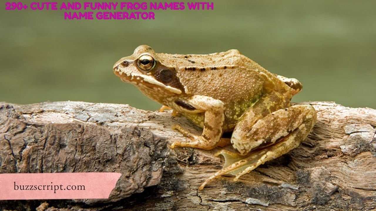 290+ Cute And Funny Frog Names With Name Generator