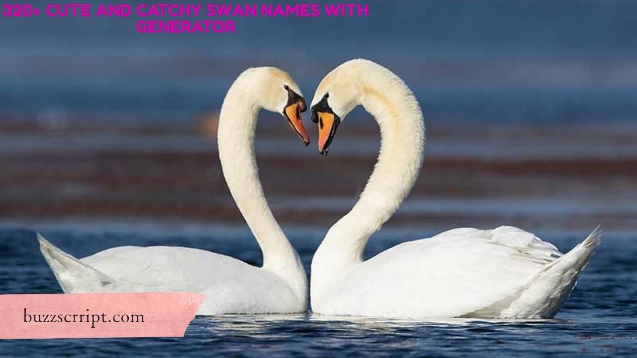 320+ Cute And Catchy Swan Names With Generator