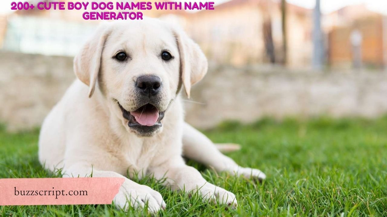 200+ Cute Boy Dog Names With Name Generator