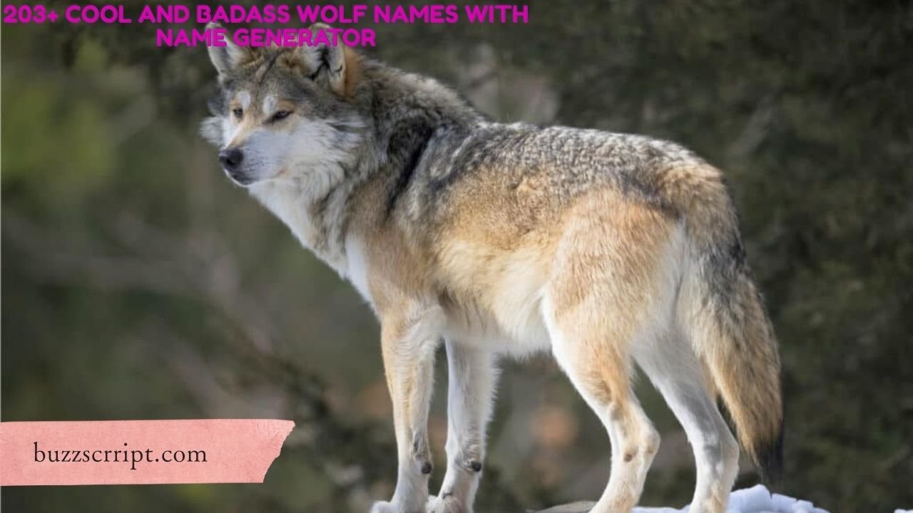 203+ Cool And Badass Wolf Names With Name Generator