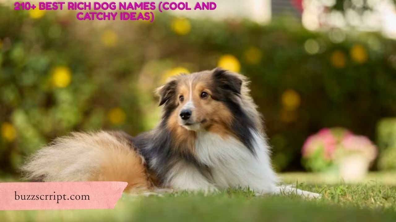 210+ Best Rich Dog Names (Cool And Catchy Ideas)