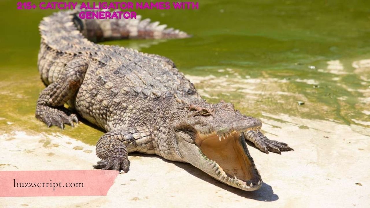 215+ Catchy Alligator Names With Generator