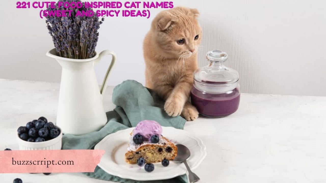 221 Cute Food Inspired Cat Names (Sweet And Spicy Ideas)