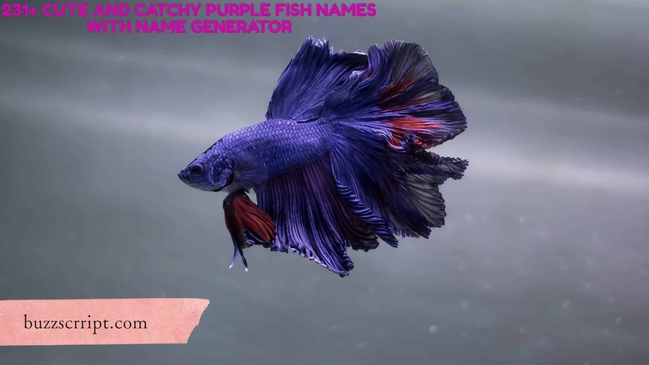 231+ Cute And Catchy Purple Fish Names With Name Generator