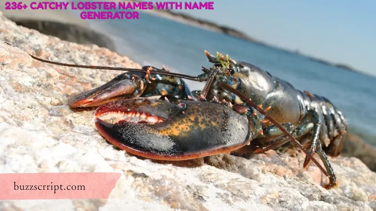 236+ Catchy Lobster Names With Name Generator