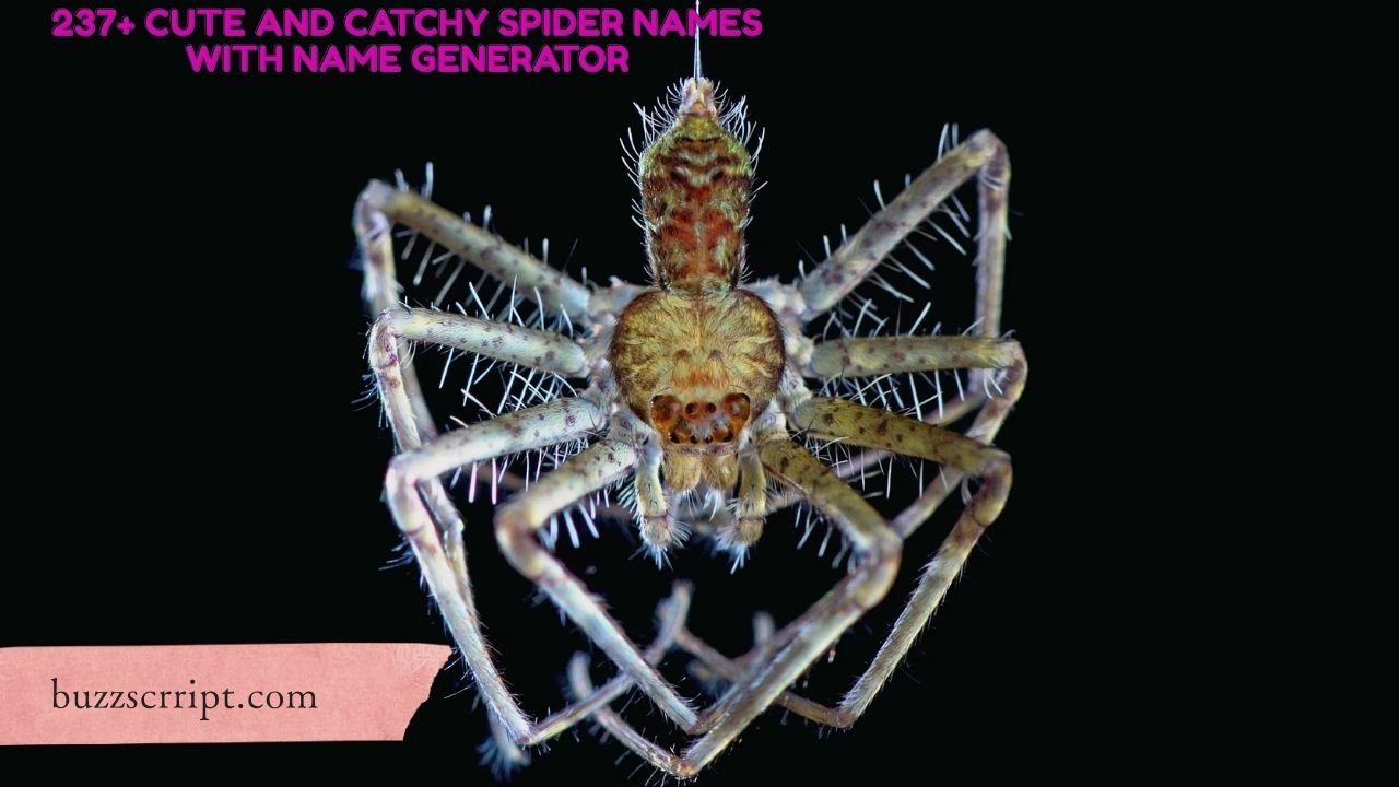 237+ Cute And Catchy Spider Names With Name Generator