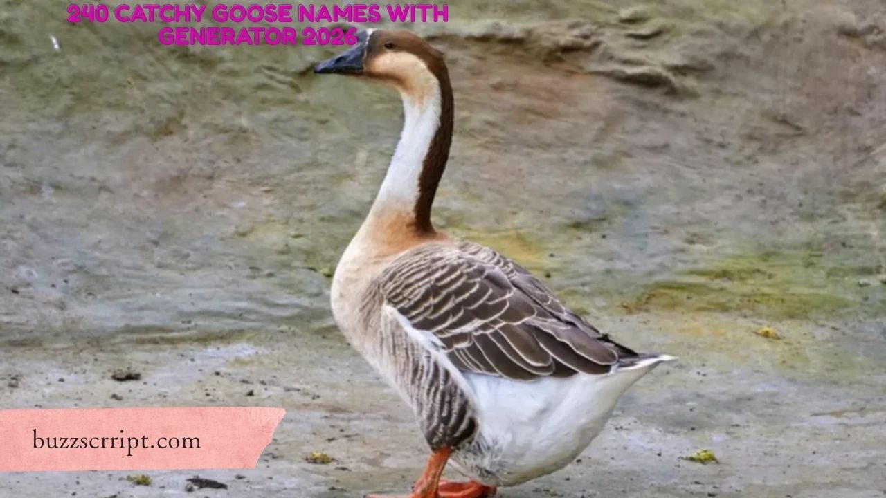 240 Catchy Goose Names With Generator 2026