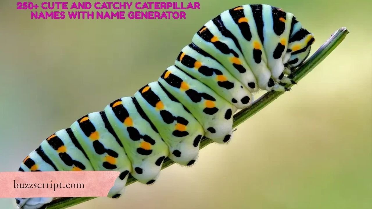 250+ Cute And Catchy Caterpillar Names With Name Generator
