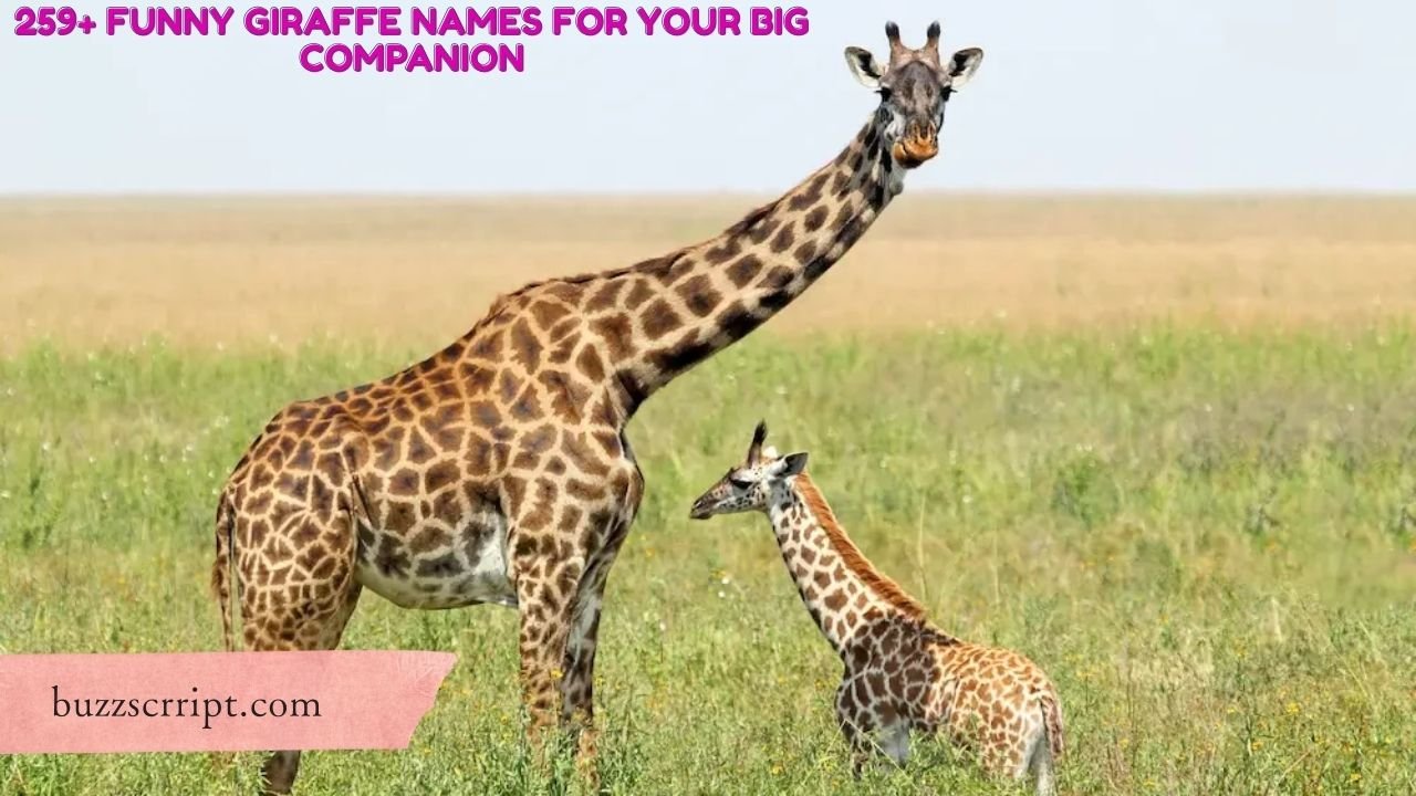 259+ Funny Giraffe Names For Your Big Companion