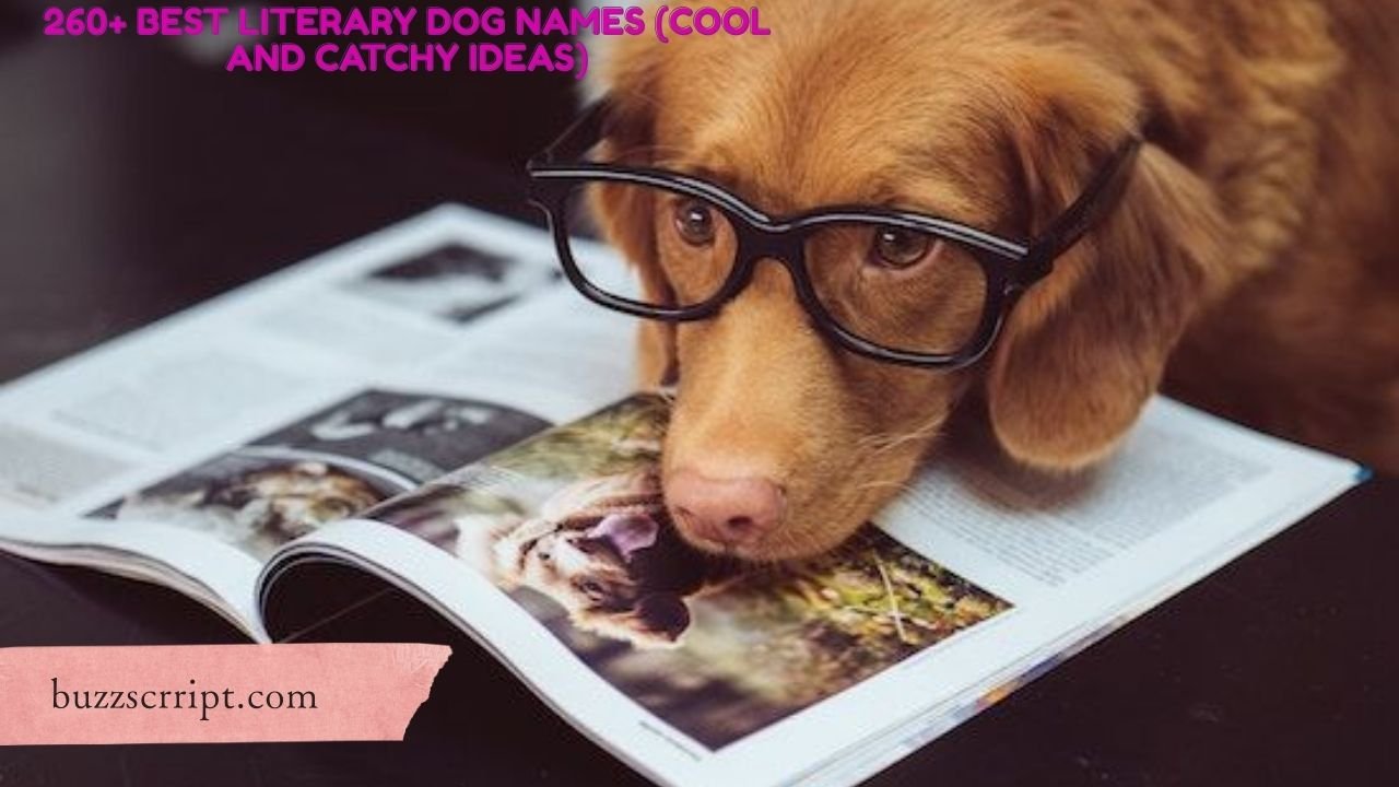 260+ Best Literary Dog Names (Cool And Catchy Ideas)