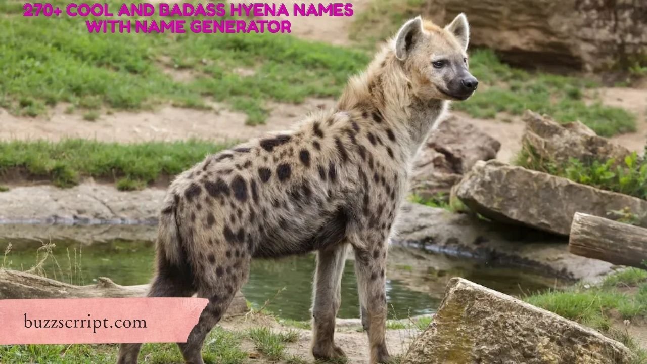 270+ Cool And Badass Hyena Names With Name Generator
