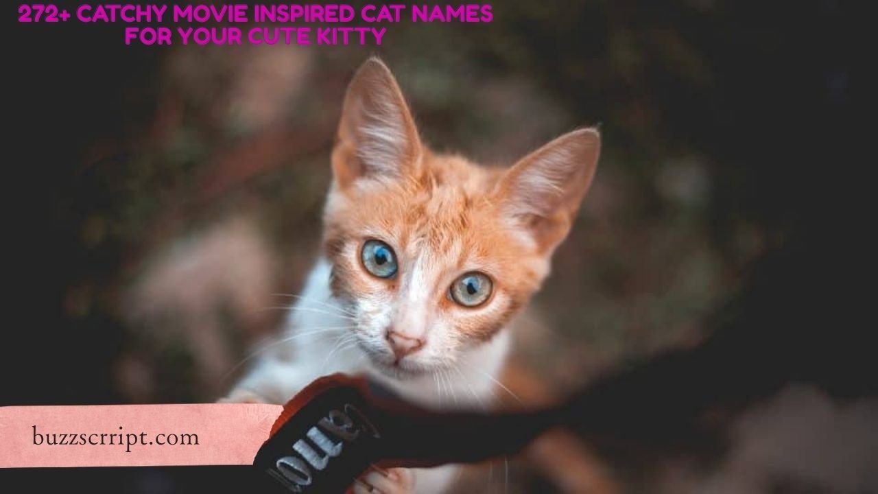 272+ Catchy Movie Inspired Cat Names For Your Cute Kitty