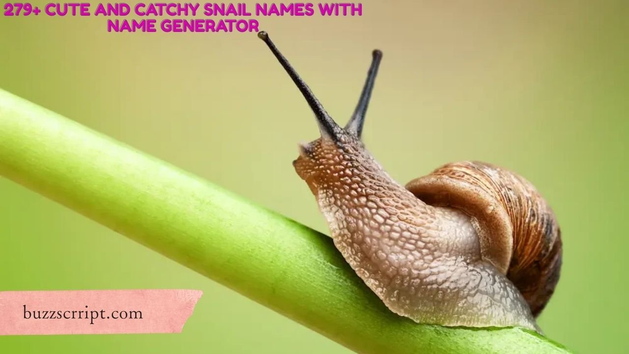 279+ Cute And Catchy Snail Names With Name Generator