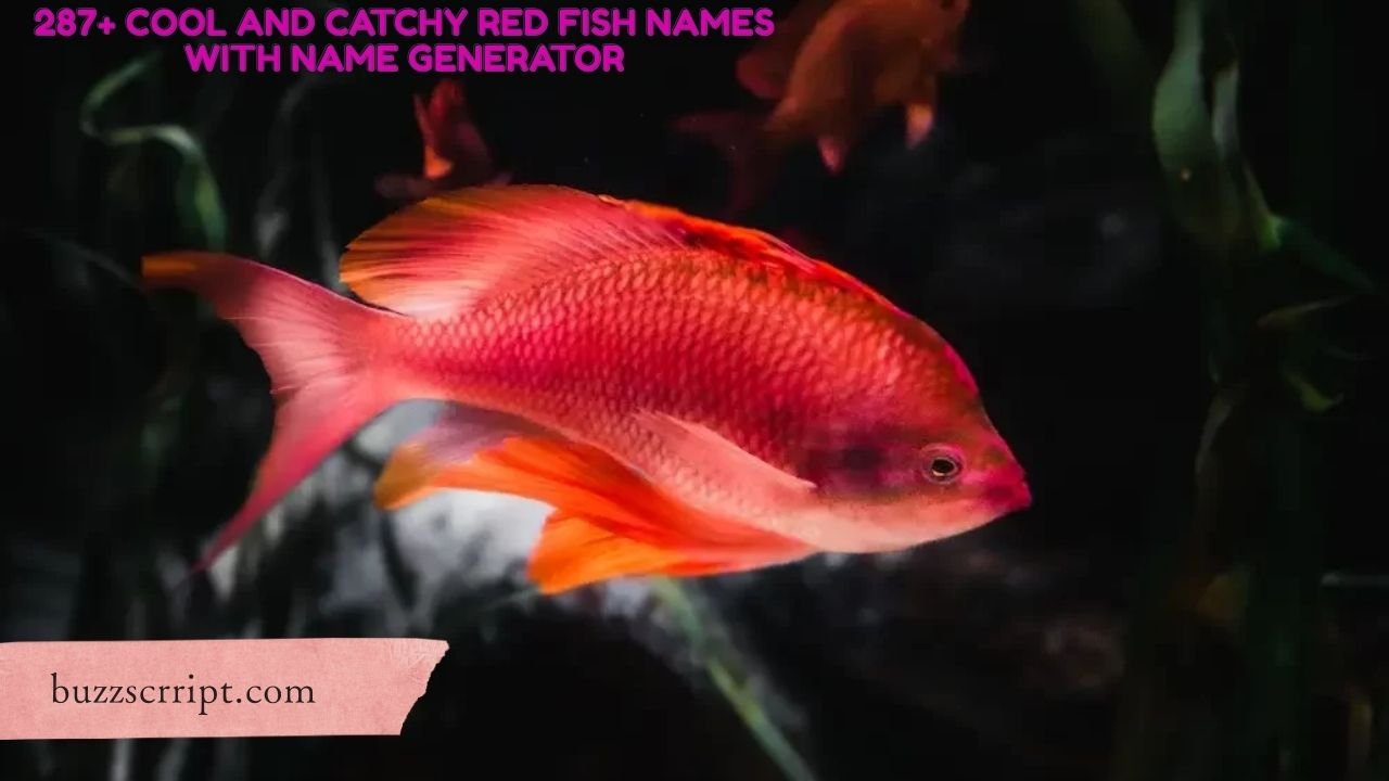 287+ Cool And Catchy Red Fish Names With Name Generator