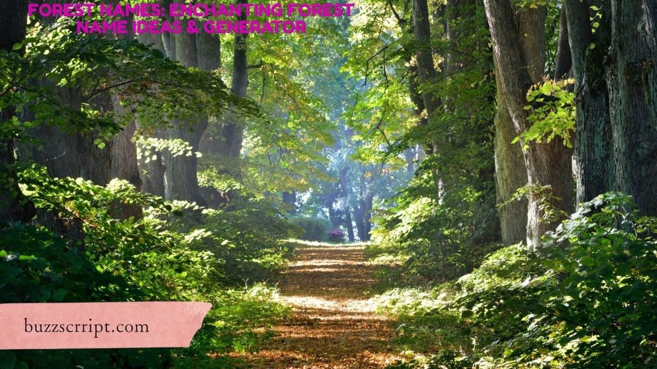 Forest Names: Enchanting Forest Name Ideas & Generator