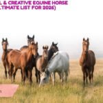223+ Powerful & Creative Equine Horse Names (Ultimate List for 2026)